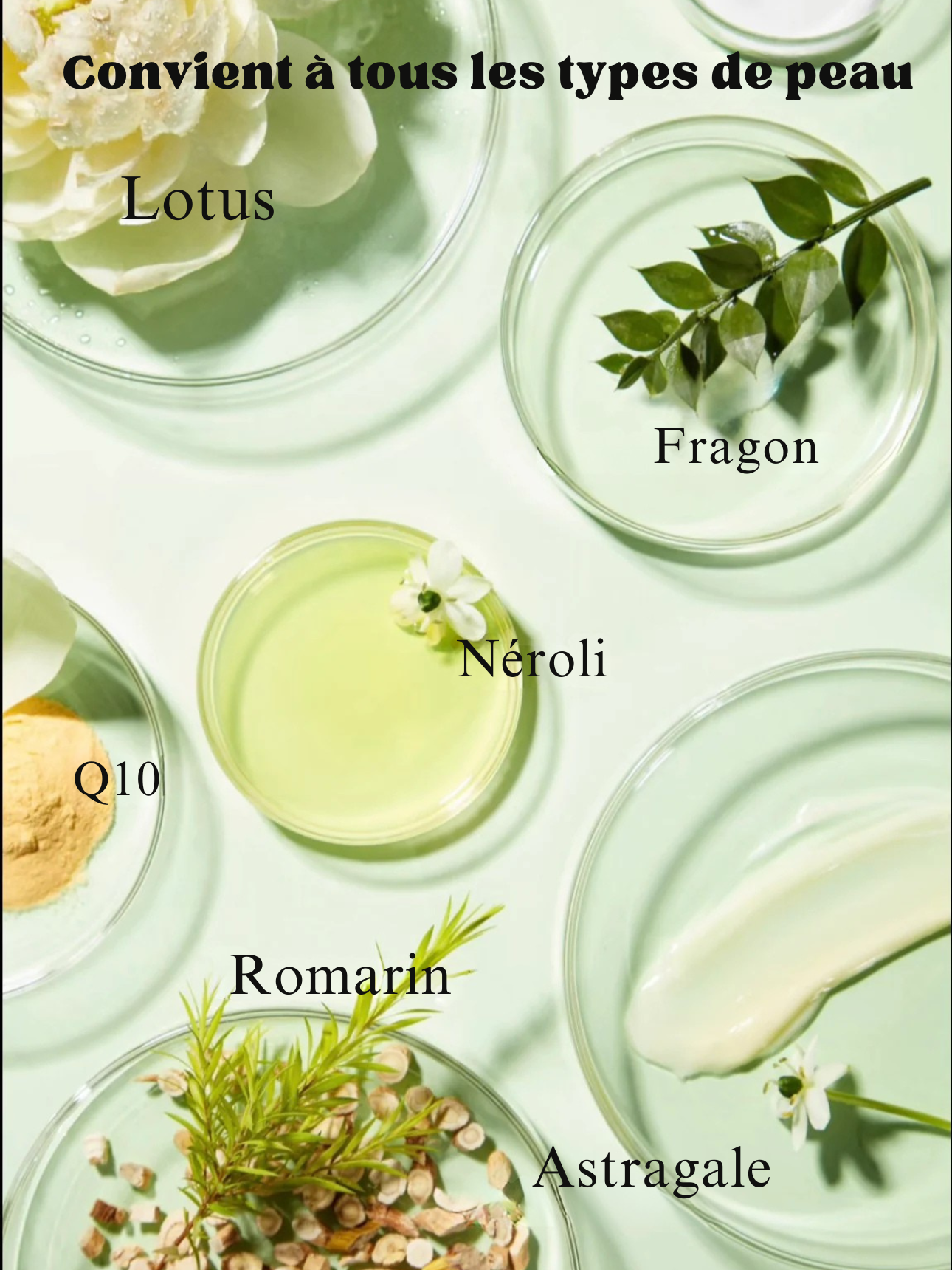 Purevya™ - Peau éclatante en 7 jours